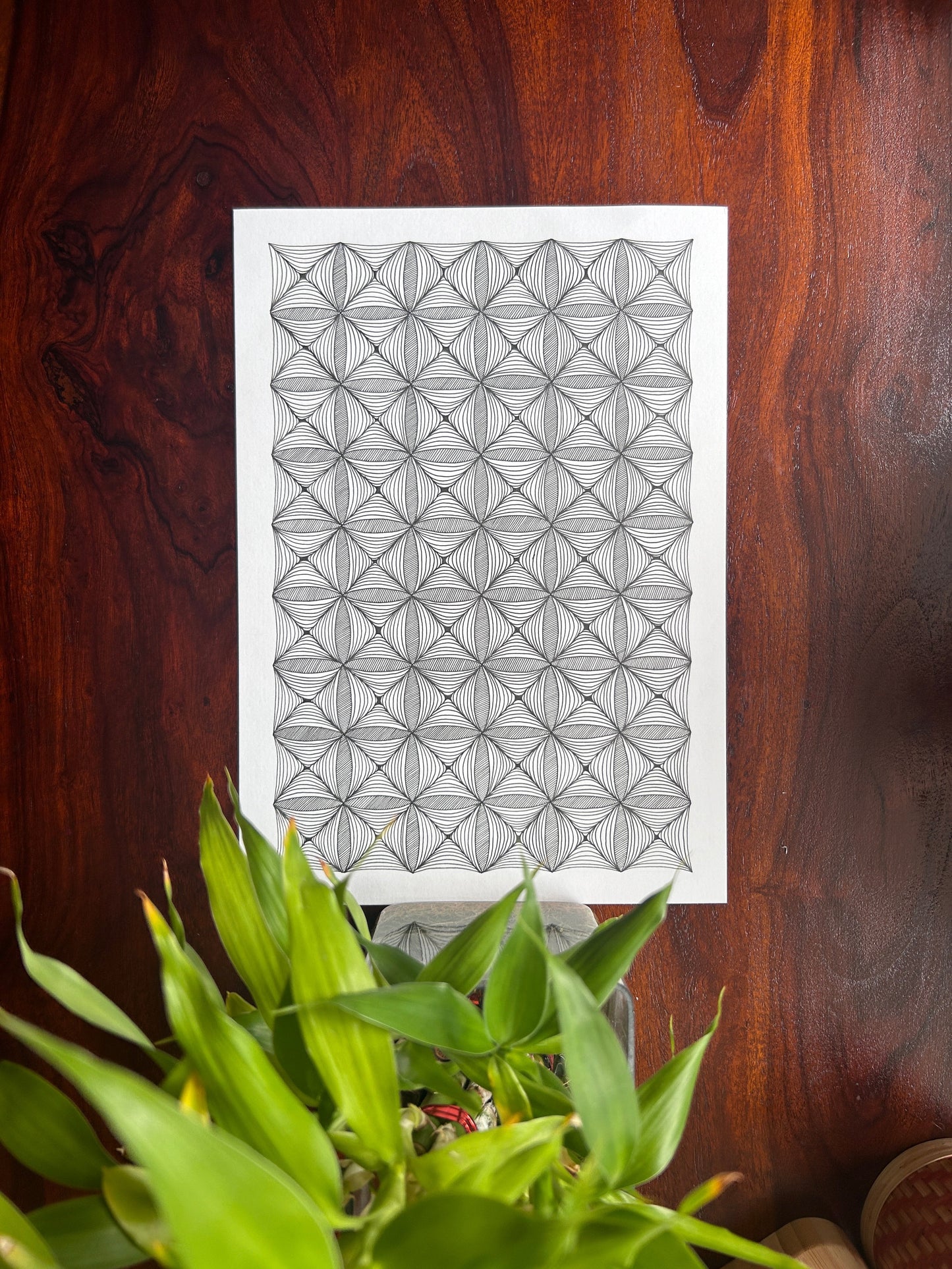 Illusion 4