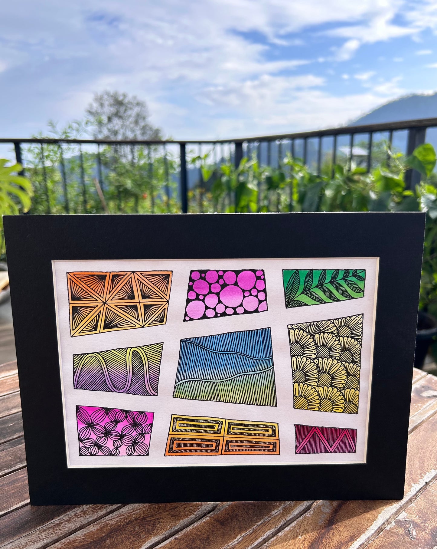 Vista 1